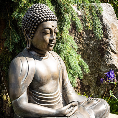 Dharma Study